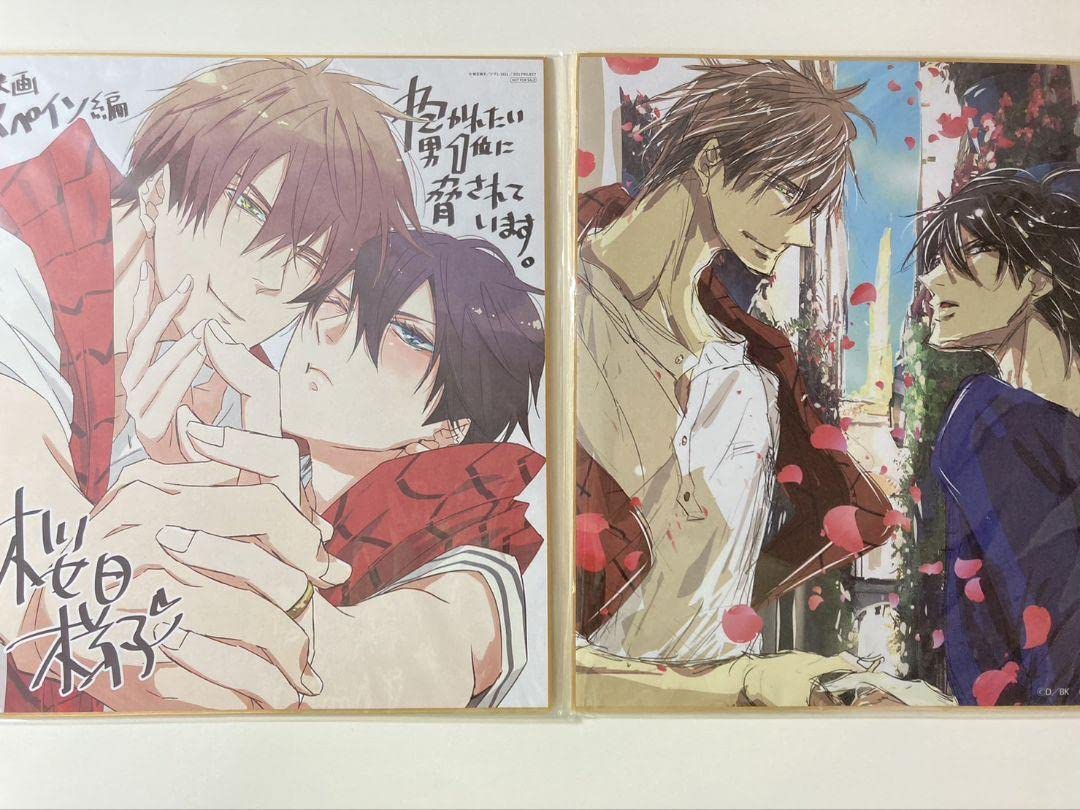 Amazon.co.jp: だかいち BIG色紙 劇場版 スペイン編 抱かれたい